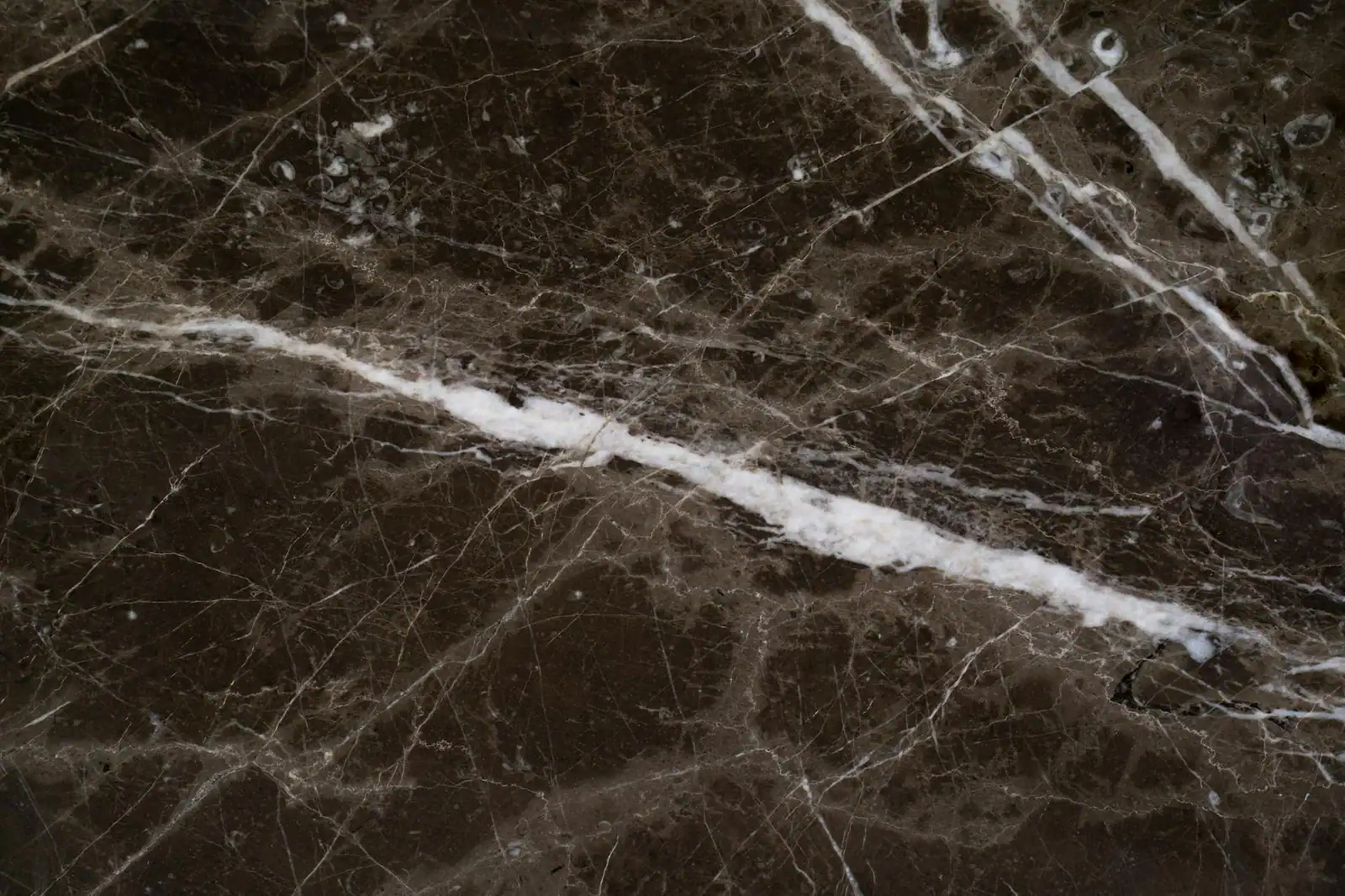 Close-up of a dark Carnico marble surface showcasing intricate natural patterns and textures.